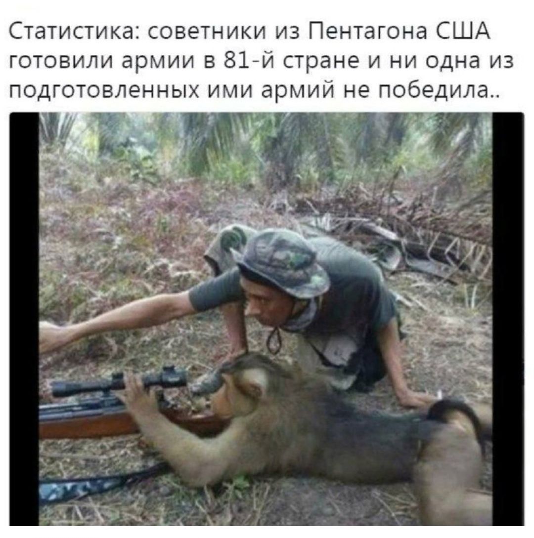 Статистика советники из Пентагона США готовили армии в 81й стране и ни одна из