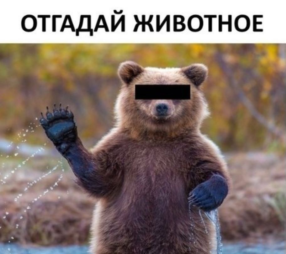 ОТГАДАЙ животное