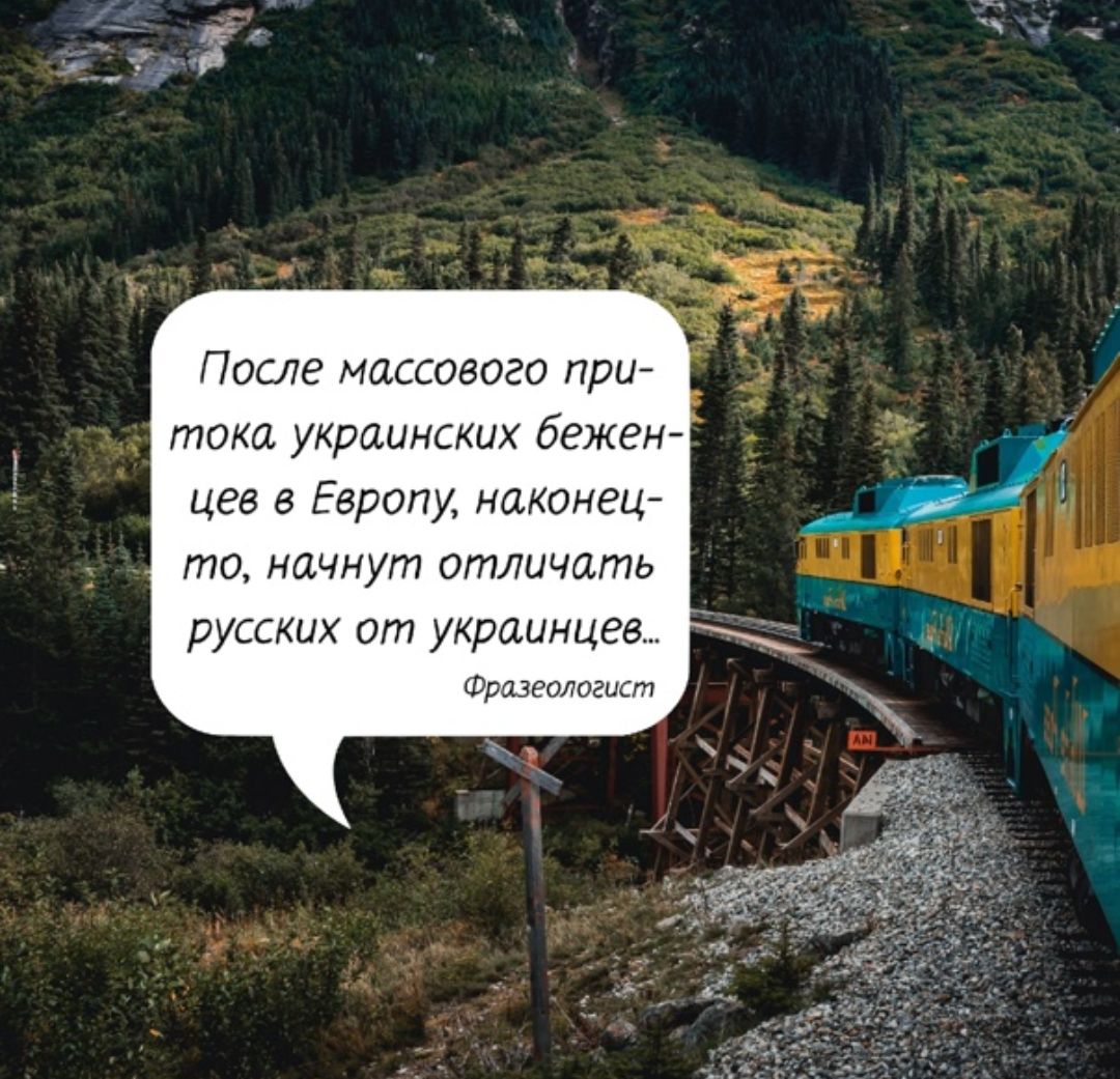 После массового при тока украинских бежен цев в Европу наконец то начнут отличать русских от украинцев Фразеологист