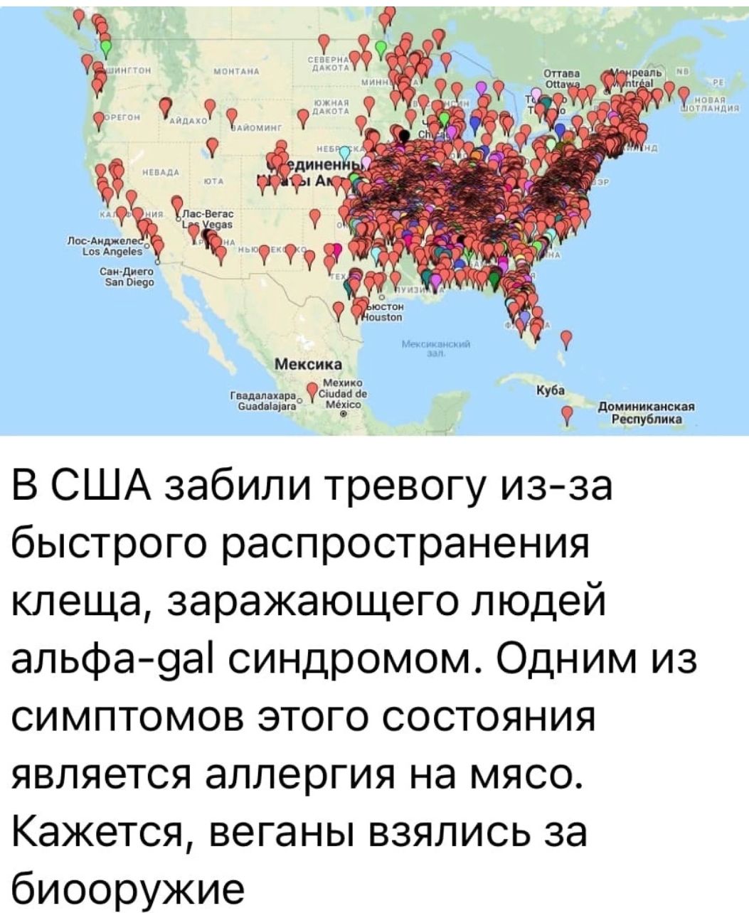 В США забили тревогу из за быстрого распространения клеща заражающего людей альфа9а синдромом Одним из симптомов этого состояния является аллергия на мясо Кажется веганы взялись за биооружие