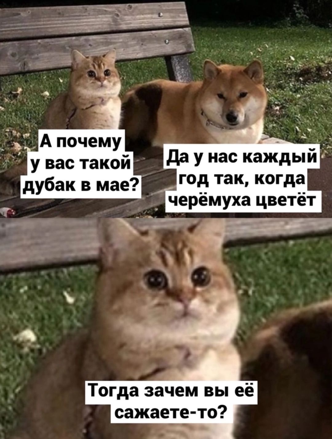 Тогда зачем вы её сажаете то