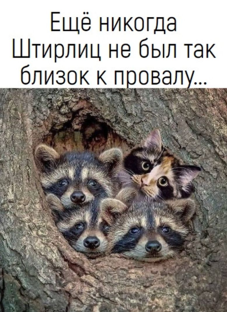Ещё никогда Штирлиц не был так близок к повал