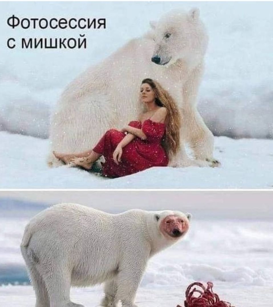 Фотосессия с мишкой