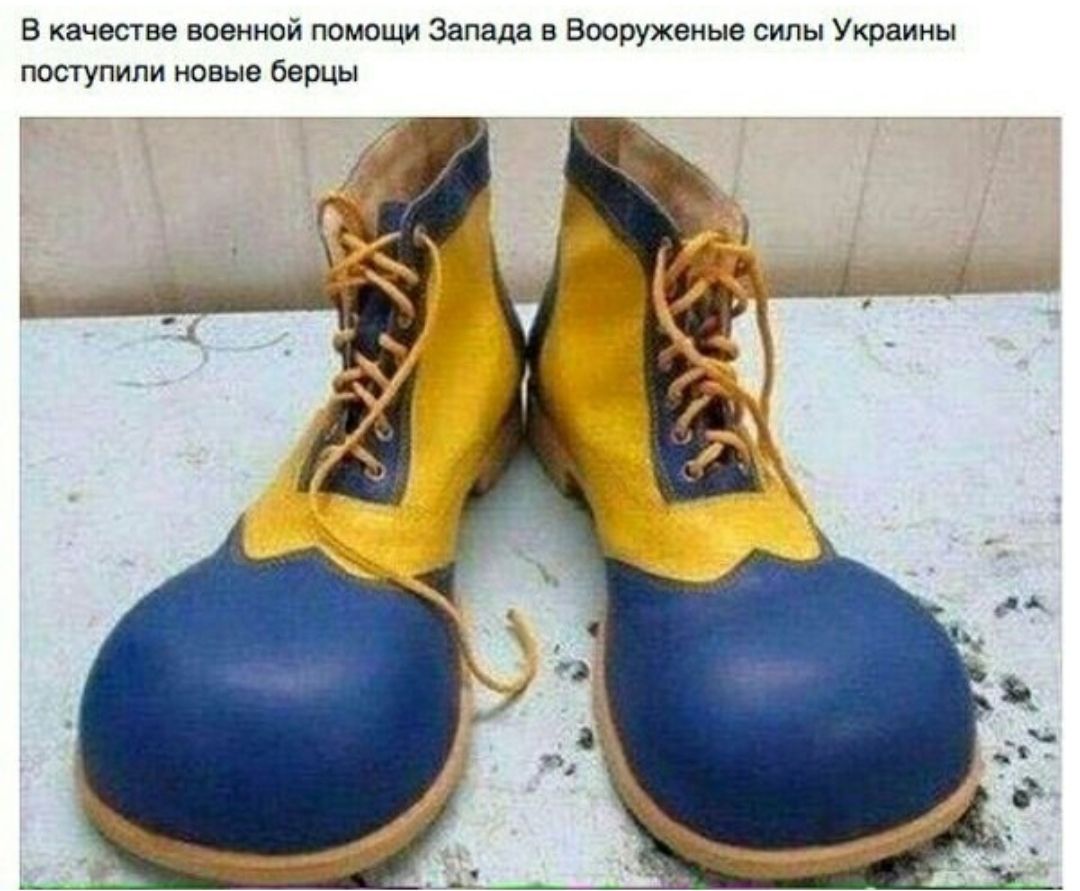в ачвпве воемюи помощи Запада Ешшжвиыв сити Украины ппсчупили овыэ бвпцы