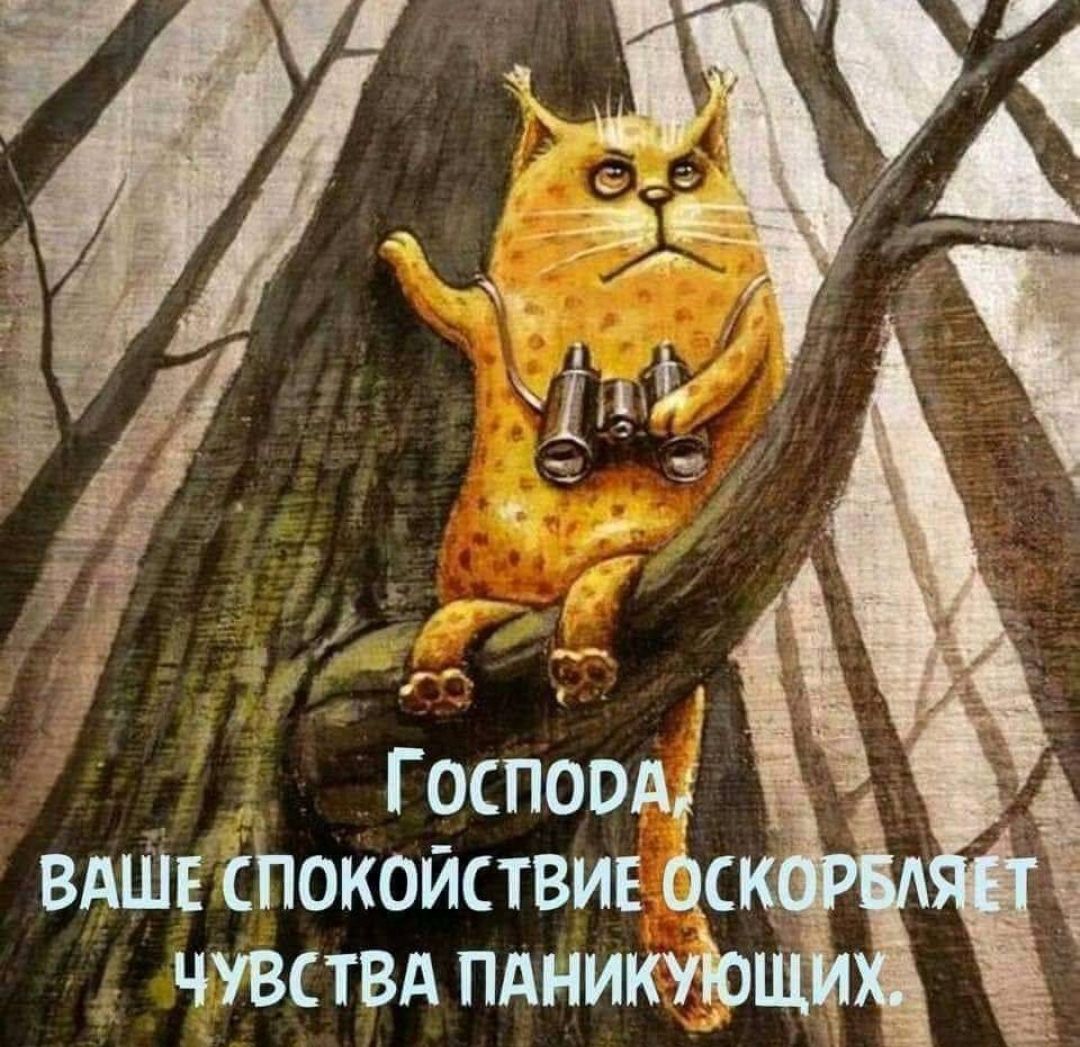 _ Госпоод ВАШЕ Покойствив ас чувствд пдникудр