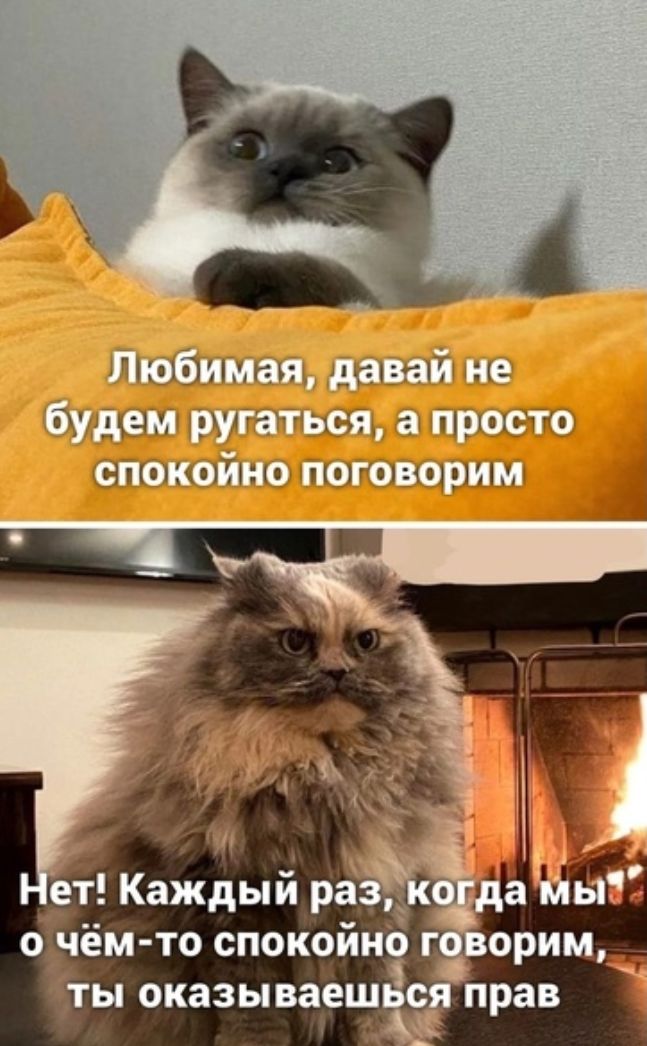 Ч Чнн жглиЛ г Цщщ дпни Ш Нуарн щепы чёМТО СПОКОЙНО ГН орим ты оказываешс прав
