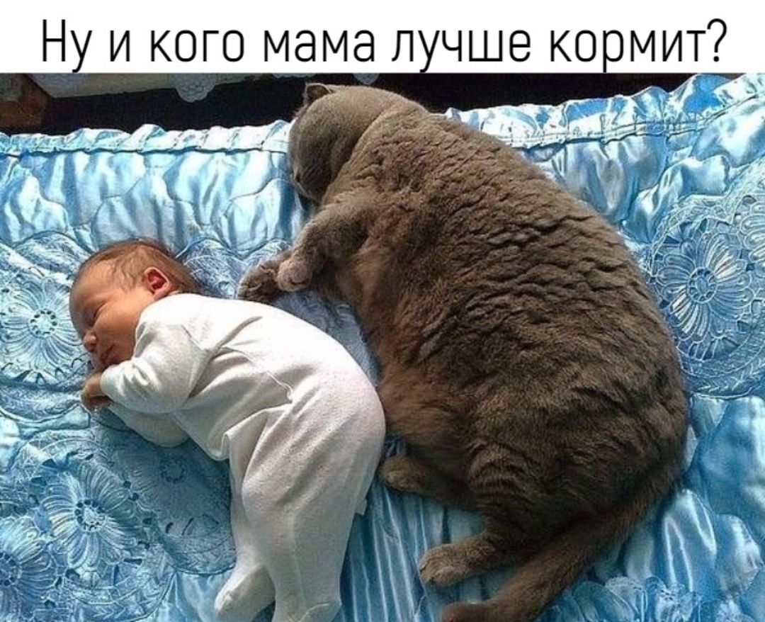 Н и кого мама п чше коимит