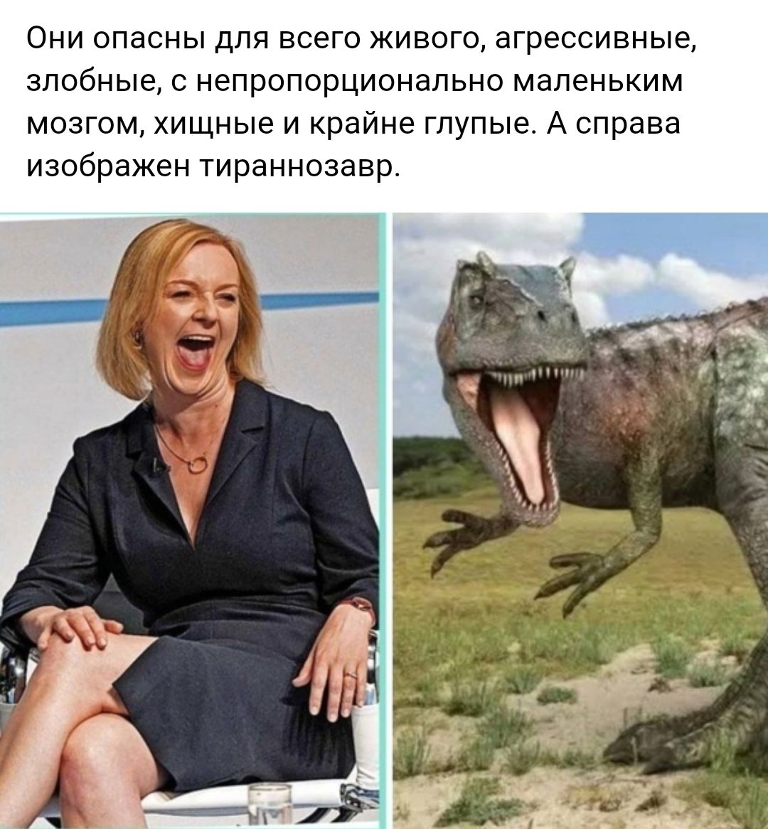 Они опасны для всего живого агрессивные злобные с непропорционапьно маленьким мозгом хищные и крайне глупые А оправа изображен тираннозавр