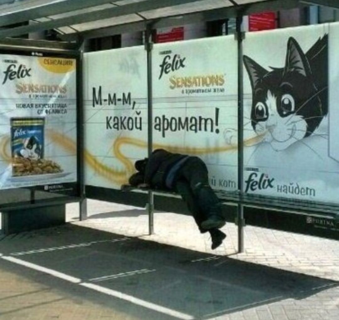 іх шоп шт