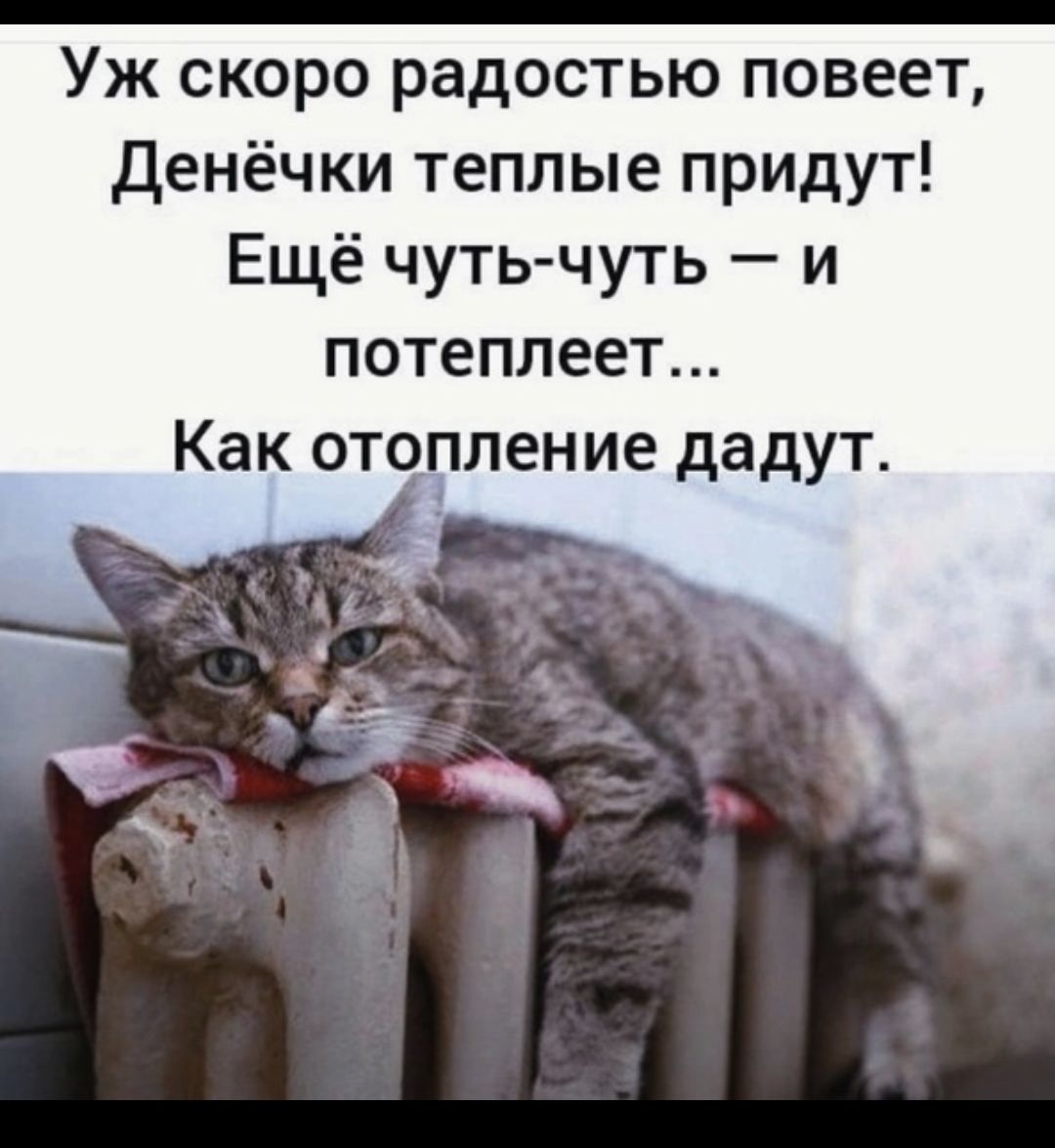 Уж скоро радостью повеет Денёчки теплые придут Ещё чуть чуть и потеплеет Как отопление дадут