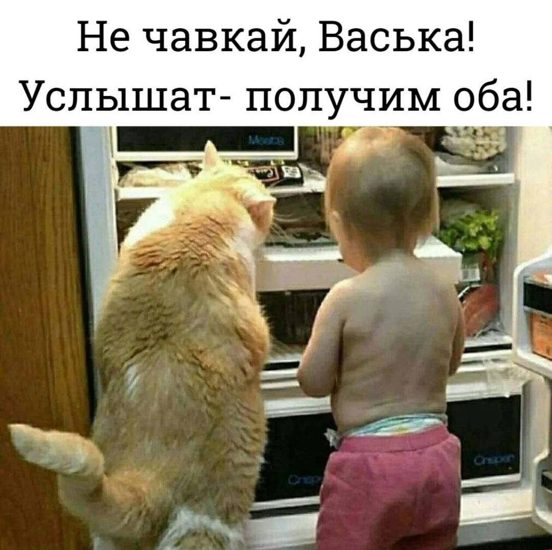Не чавкай Васька Успышат получим оба