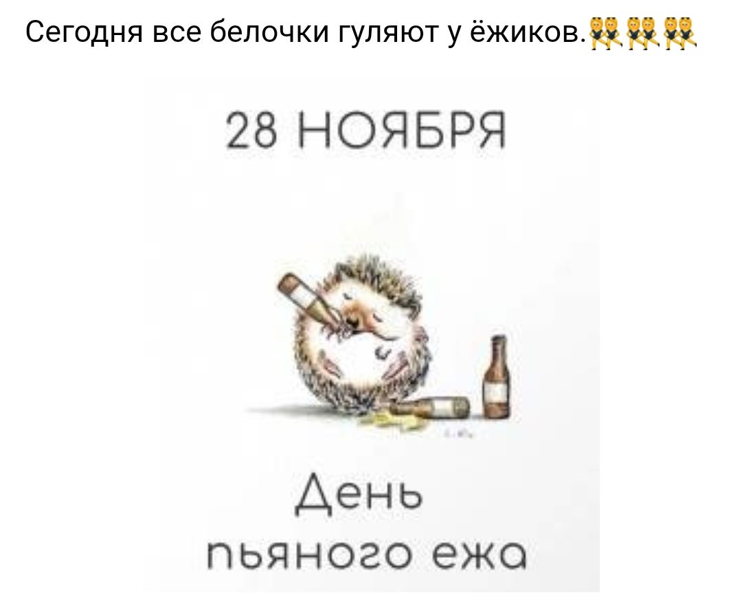 Сегодня все беппчки гуляют у ёжиковппц 28 НОЯБРЯ День пьяного ежо