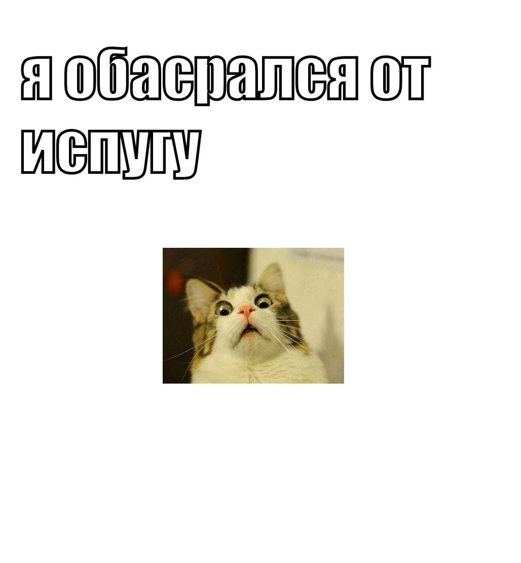 Ш ЕЁПБЗШСЁШ ШП