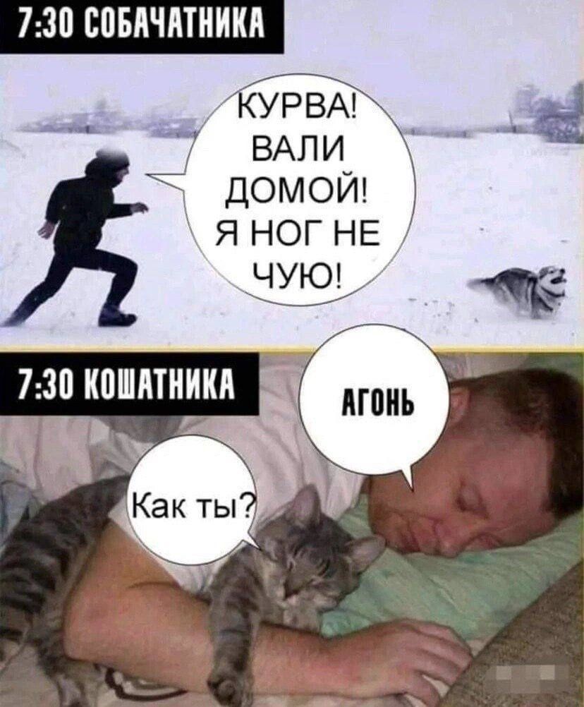 730 СПБАЧПТНИКА УРВА ВАЛИ а домой яног НЕ 730 КПШЯТНИКЛ