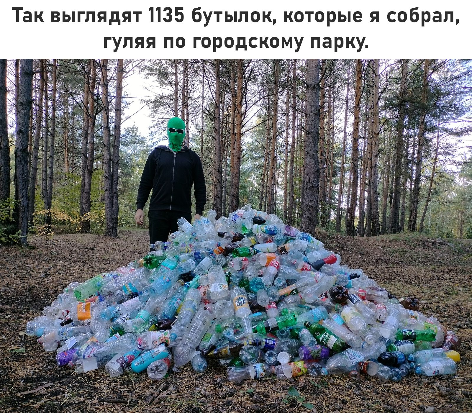 Так выглядят 1135 бутылок которые и собрал гуляя по городскому парку