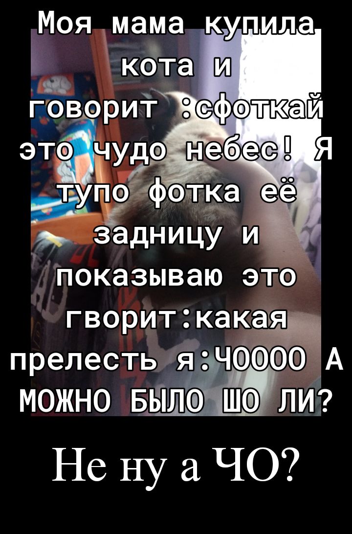 Моя мама купила показываю ЭТО ГВОРИТ какаъяі _ прелесть яЧб А МОЖНО БЁЛ0Ш ПИ Не ну ЧО