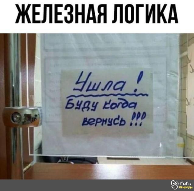 ЖЕЛЕЗНАЯ ЛОГИКА