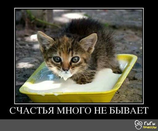СЧАСТЬЯ МНОБО НЕ БЫВАЕТ гг