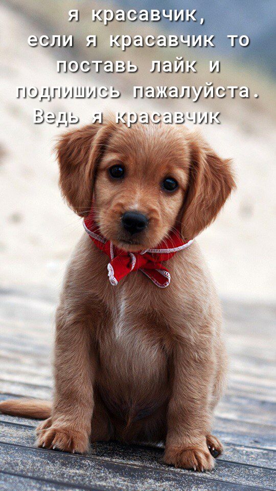 5393153331191 ГЛЪЯ 9315 33119153 ТЕ ГЮСТЗЗ ЛЗЛК А ГЮДГ11ШИСЬ пэщалулзга ВЭУ ЦЬ МК