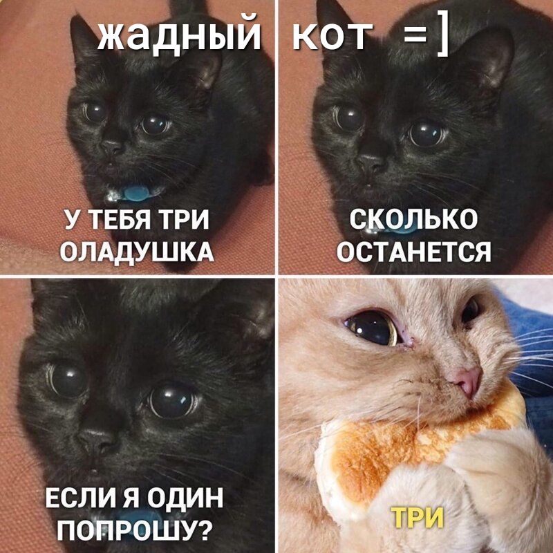 жадный Кот н и дичи У ТЕБЯ ТРИ СКОЛЬКО 9лАдушкд остдн ЕТСЯ ЕСЛИ Я ОДИН ПОПРОШУ
