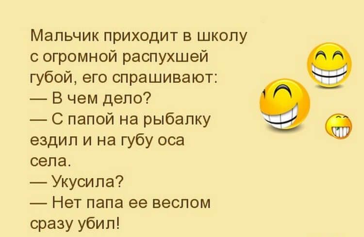 Мальчик приходит в школу с огромной распухшей губой его спрашивают В чем дело С папой на рыбалку ездил и на губу оса села Укусипа Нет папа ее веслом сразу убил