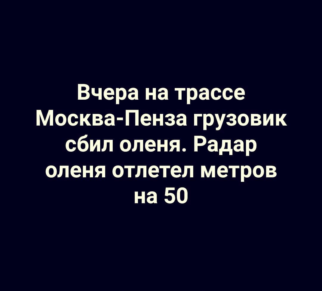 Вчера на трассе Москва Пенза грузовик сбил оленя Радар оленя отлетел метров на 50
