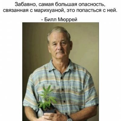 Забавно самая большая опасность связанная с марихуаной это попасться ней Бипп Мю