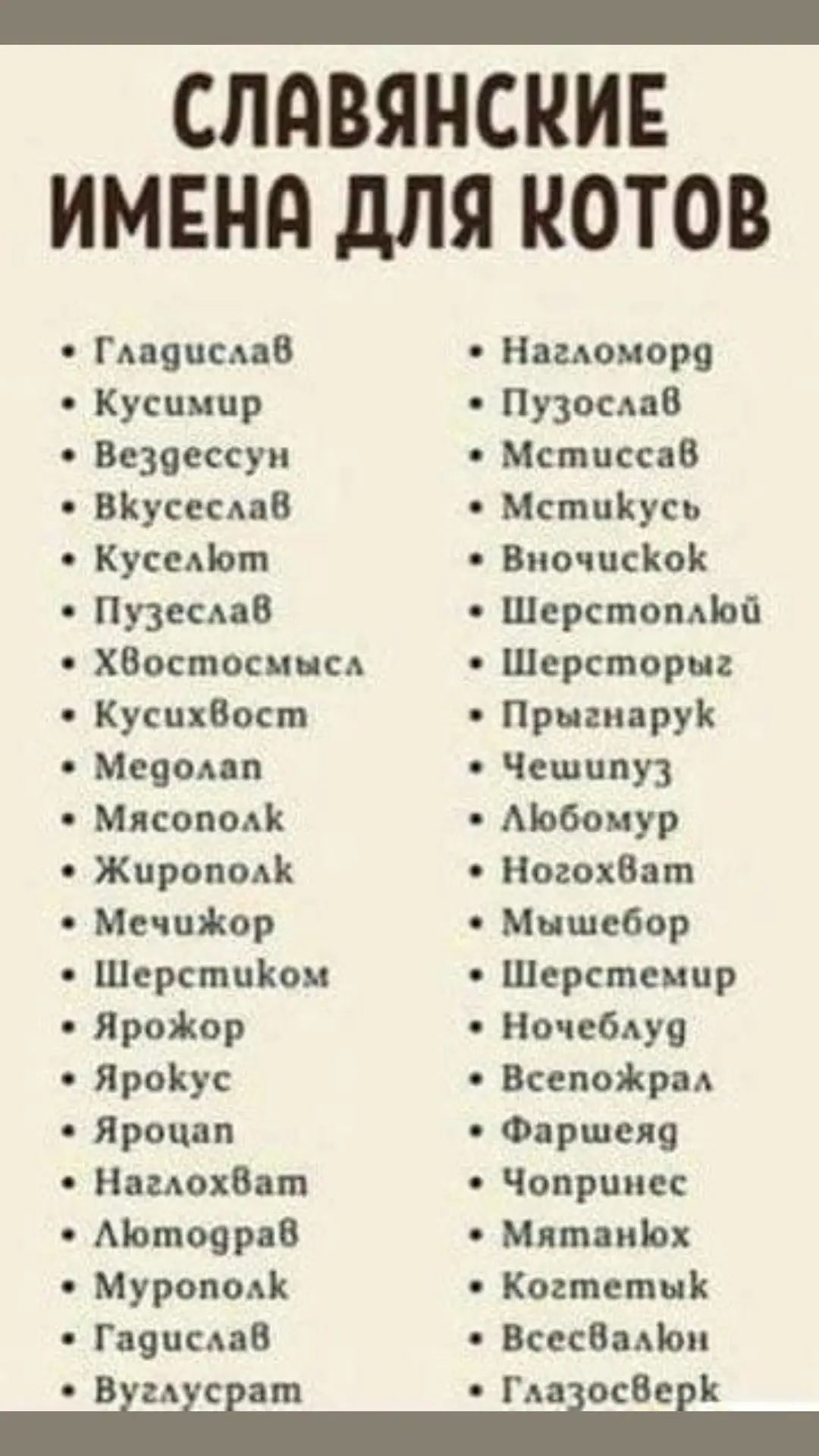 СЛАВЯНСКИЕ ИМЕНд дЛЯ КОТОВ Гмяисив Ниш корп Кушнир Пузосмв Безпессуи мцшв Муссы 8 Мспппкусь Кусапот Виочисіюи Пузесмв Шерстопльп ХВосшосц сд Шерсторнг Кусихбост Прнгиирук Мечом п Чешппуз Мясоподк Мобоиур Жироподк НогохВаш Мечпіор Мишебор ШерстиКои Шерсшеццр Яроіюр Ночебдуо ЯроКус Всепояікрм Яроцдп Фдршиц диалап Чопрпиес Миньяр6 МятдиЬх Муроподк Киннетик Гаяна 8 ВпсБмЬп віиісі Гміошеік