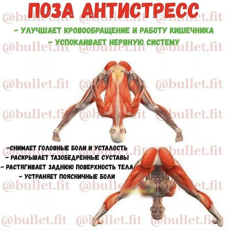 ПОЗА АНТИСТРЕОС УАПШАЕТ КРБРАЩЕНИЕ И РАБОТУ КШМЕЧНИКА УСПШМИПАЕТ НЕРПНУЮ СИСТЕМУ енищт гоминьв воли и устмость мстит тшБЕдРЕииьЕ сустпы рдстягивш щиюю пошхиоать т устшсявт пояснить води