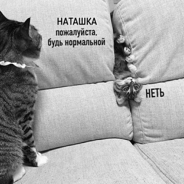 НАТАШКА пожалуйста будь нормальной