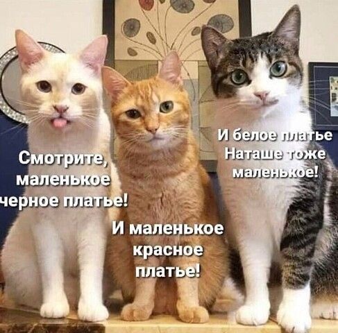 МАЗШЗ тг ье зшш г _е__