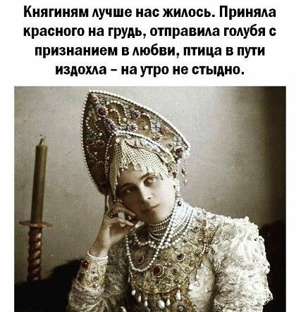 Княгииям лучше нас жилось Приняла красного на грудь отправила голубя признанием в любви птица в пути издохла на утро не стыдно