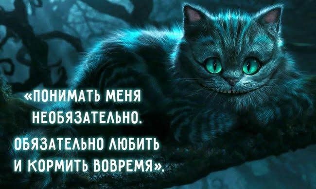 АТЬ МЕНЯ Н ЗАТЕАЬНО щадит АЮБИТЬ и парт _ _ я