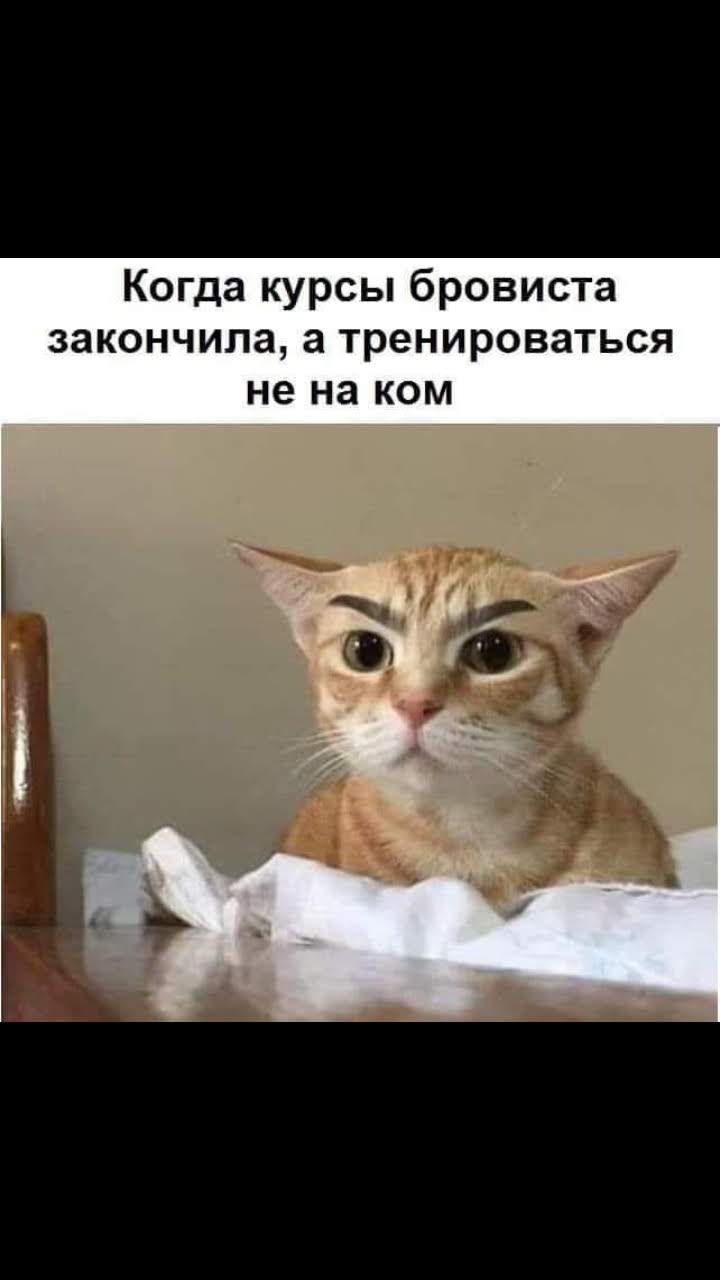 Когда курсы бровиста закончила а тренироваться не на ком