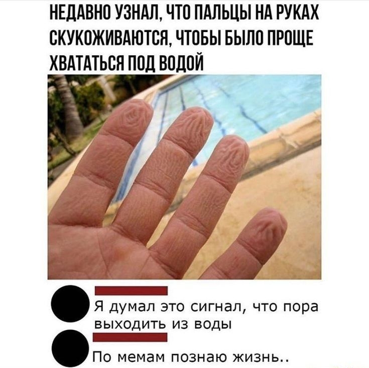 ншдвнп узндл что пдльцы нд рукдх скукоживдютсц чтпвы вылп проше хвдтдтяппдводпи у _ Я думал это сигнал что пора ВЫХОДИТЬ ИЗ ВОДЫ _ По мемам познаю жизнь