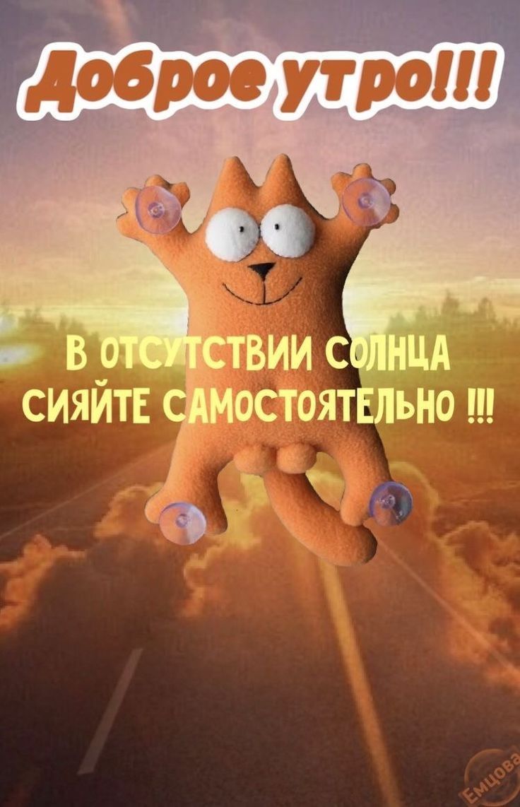 доброе утро