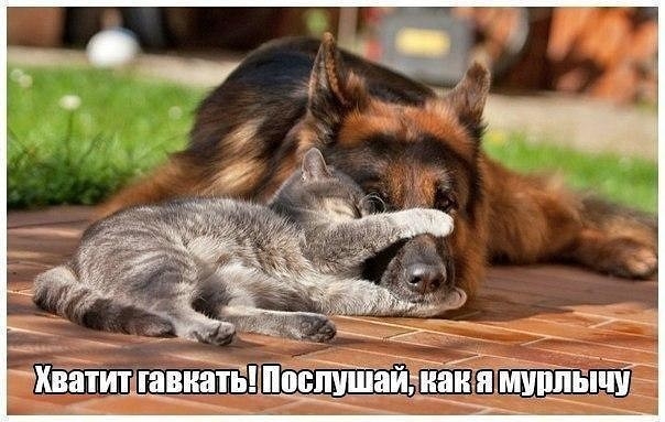іВЕПШ