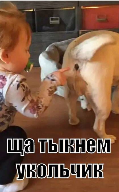 ПШПШЕББШ ШЩШПЗ
