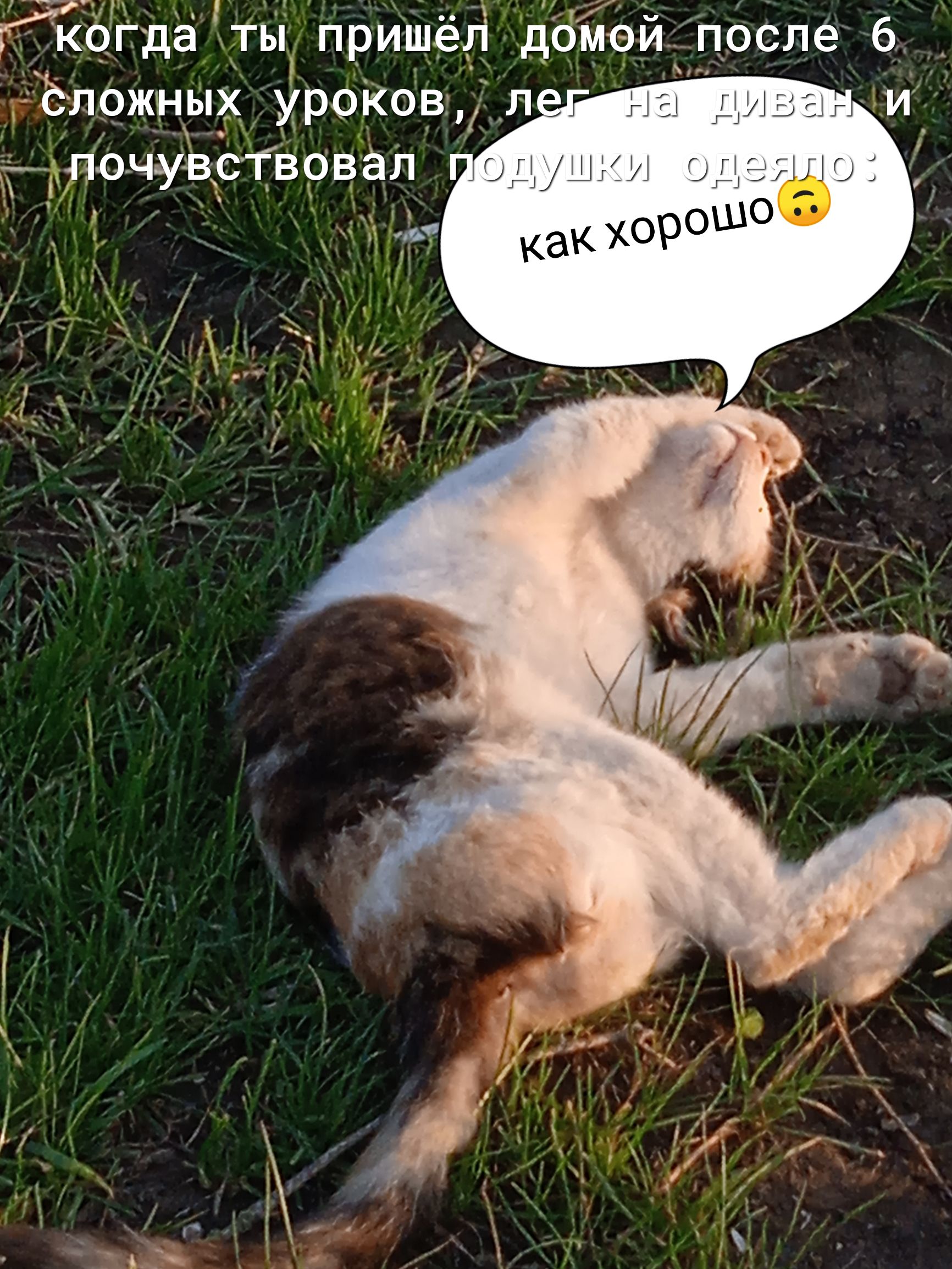 КОгда ты пришел домви после 6 ёложных уроков л очувсТВовал _ 1 _ м к 1 я _ _ с