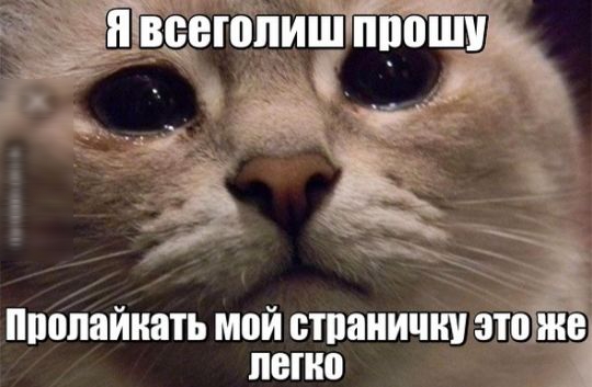 пгт ош Гв нгопи _ З ППППЁЙШПЬ МЪЙЕЁЗЗНИЧШ ЗТОЖГЗЁ ц