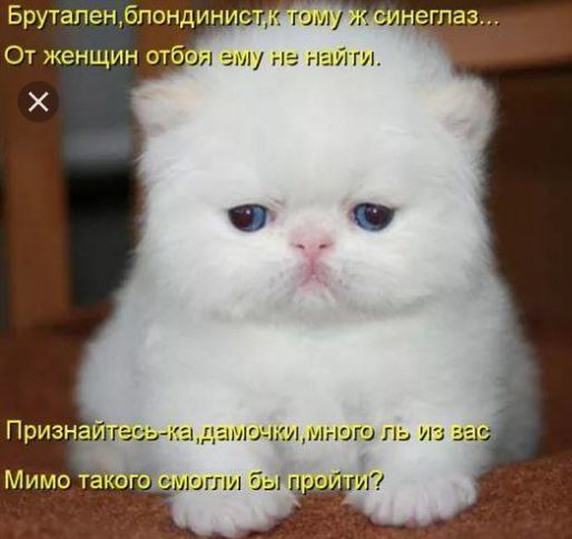 Исинеглаз, дениочки , много ль из ва йа