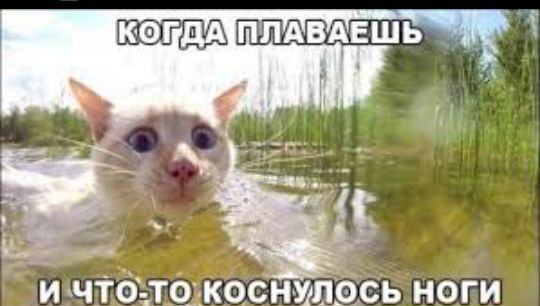 дАППАВАЕШЬ И ЧТО ТО КОСНУПОСЬ НОГИ