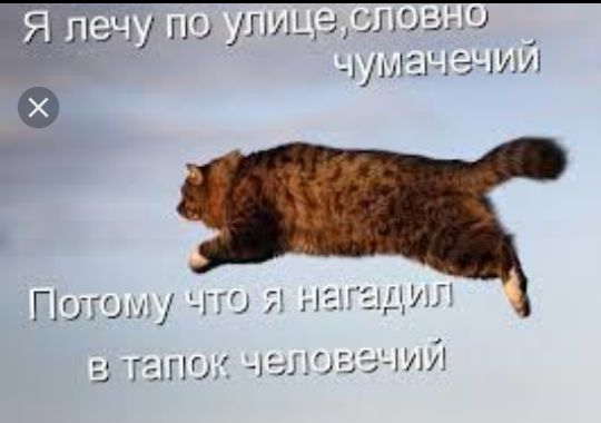 упэ ли дарю 31 лтгиечий Потыл гг9 ЗіёіГЕЩлі 3 Г 1110 ЗЕТ Ш