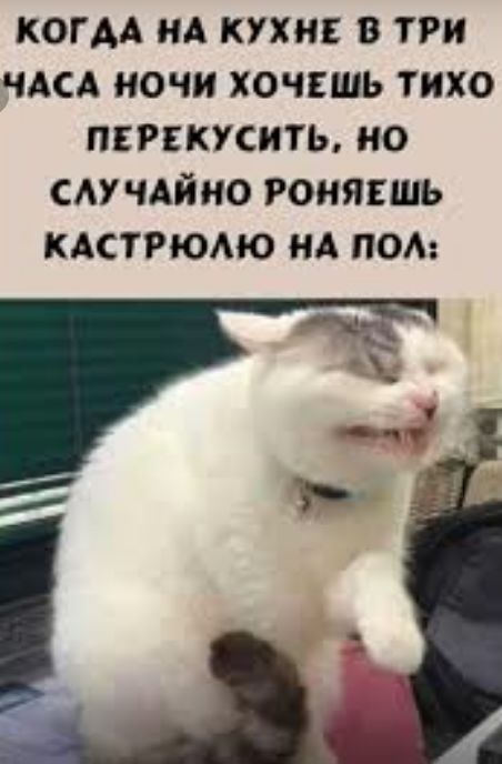 когм нд кухня в три ЧАСА ночи хочвшь тихо прикусить но см чайно гонявшь КАСТРЮАЮ НА под