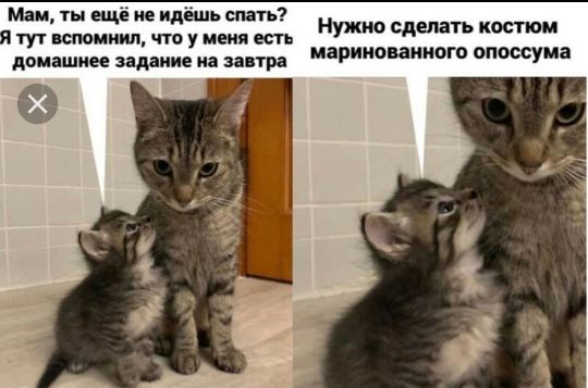 Маи ты еще не идёшь спагь туг аспирации что у меня есть домашнее задание на завтра Нужно сделать костюм маринованные опоссума