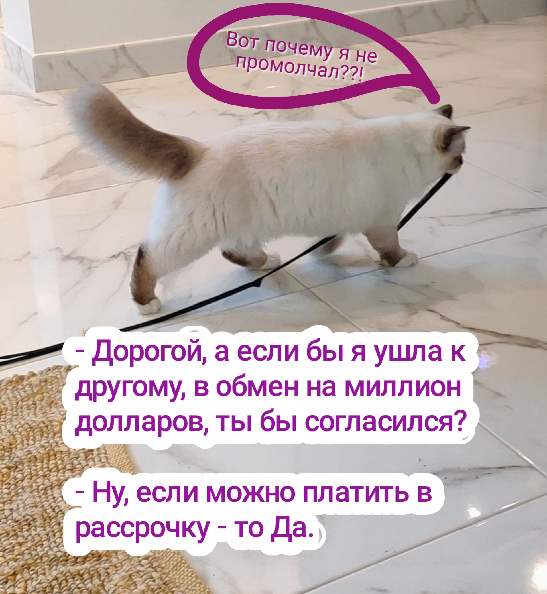 Дорогой а если бы я ушла кЗа другому в обмен на миллион 273 1 _ 1 25 д долларов ты бы согласился 5 Ну если можно платить в дАдіичг 1 1 55