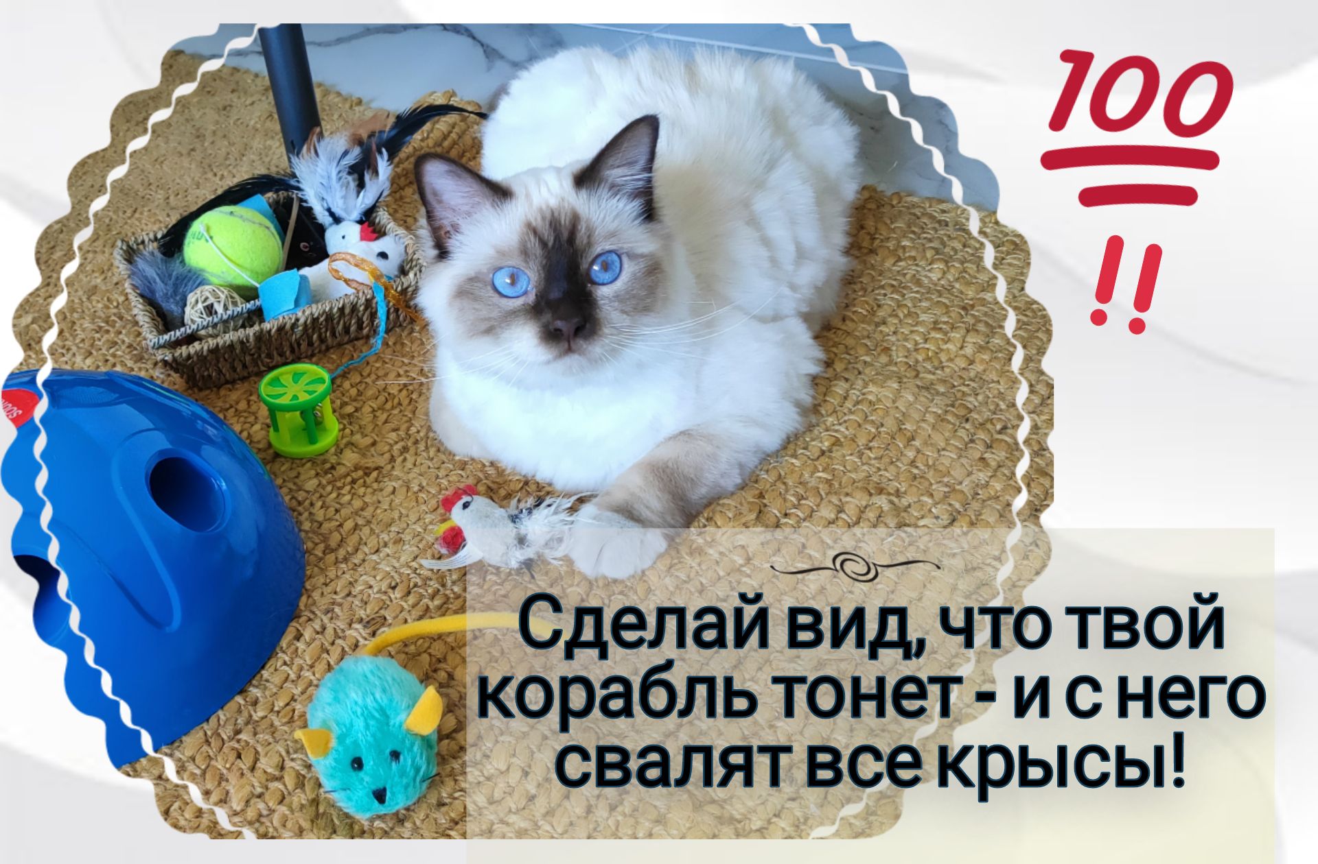 й и с него й вид что тво ь тонет ела свалят все крысы Сд корабл