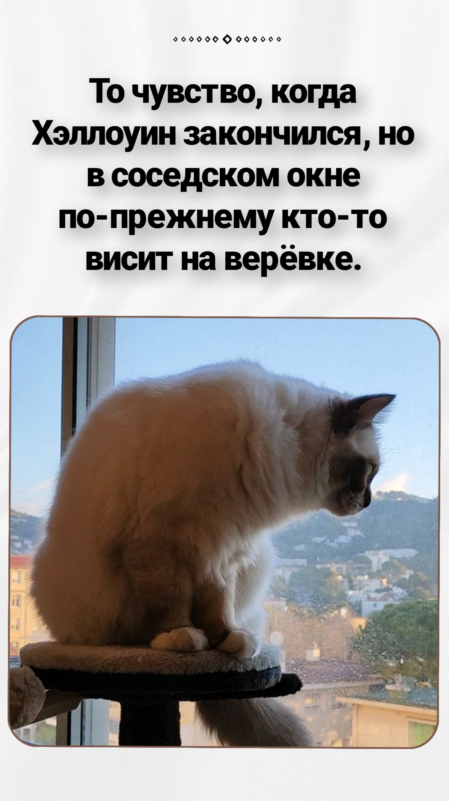 0000000000000 То чувство когда Хэллоуин закончился но в соседском окне по прежнему кто то висит на верёвке