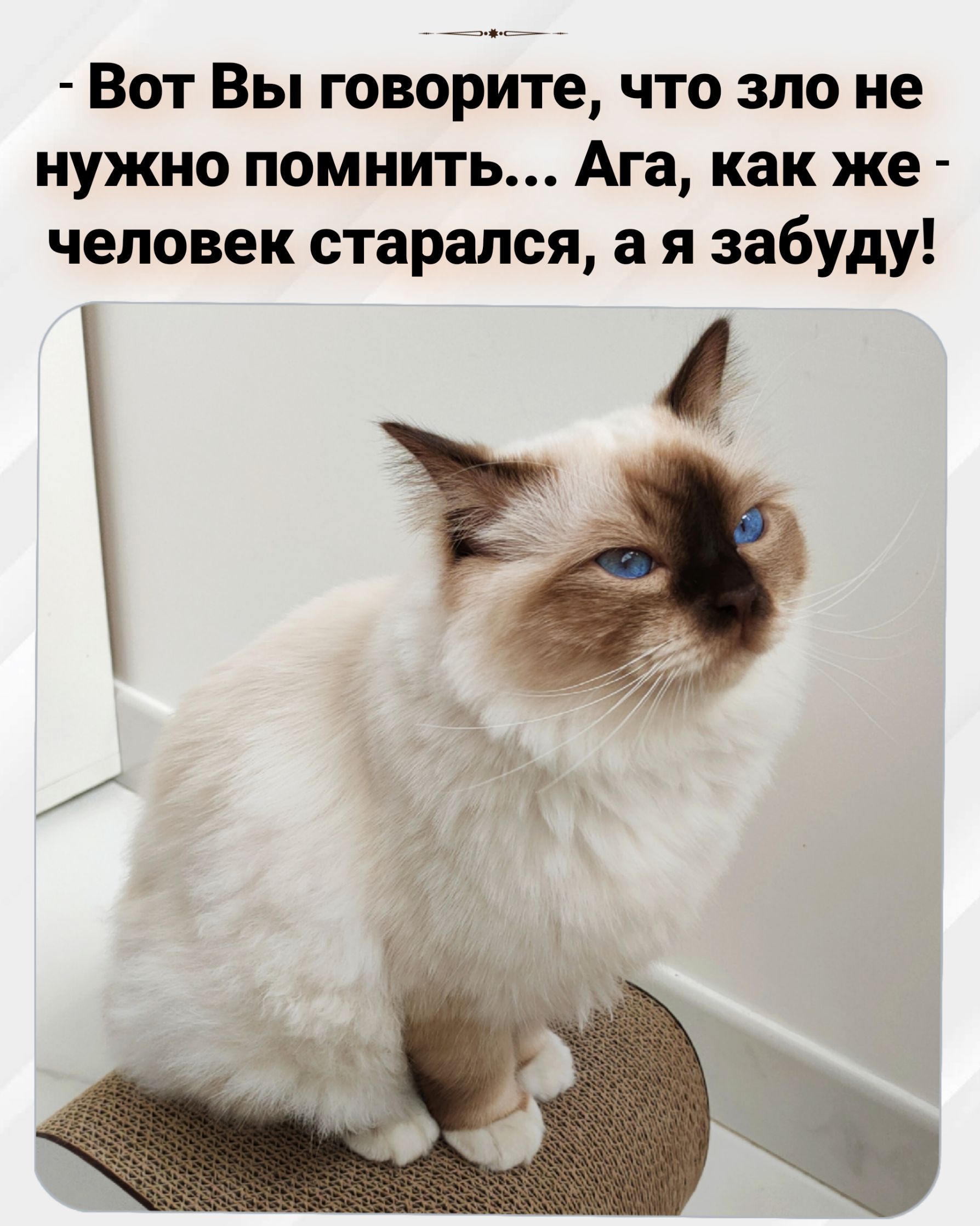 _ Вот Вы говорите что зло не нужно помнить Ага как же человек старался а я забуду