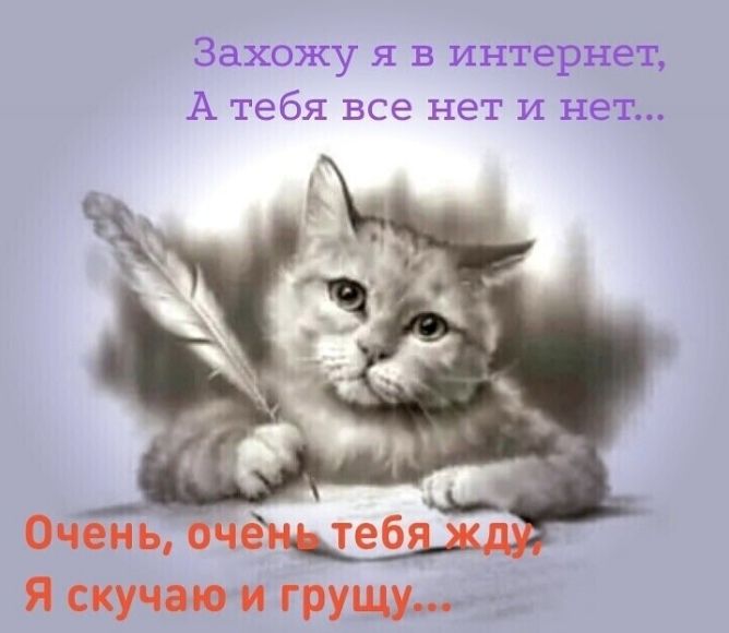 Захожу я в интернет А тебя все нет и нет я скучаю и грущу